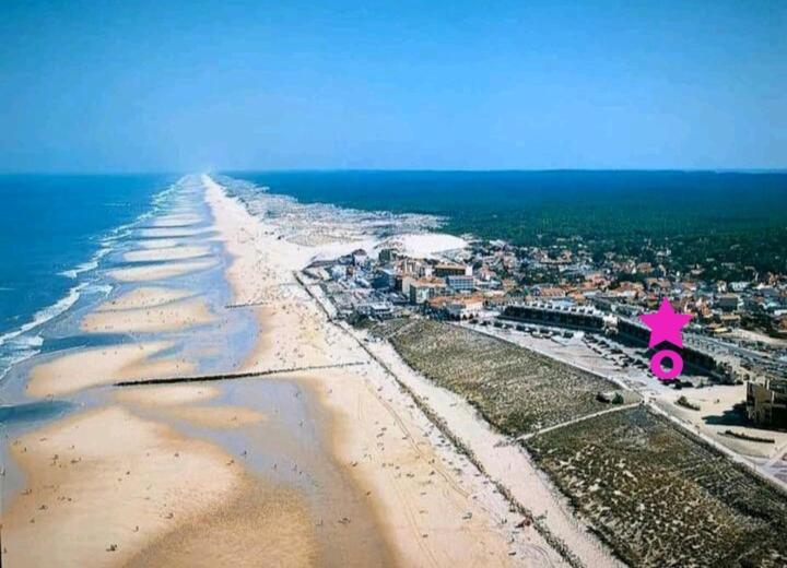 L'Ocean&Dunes Vue A 180° En Bord De Plage Lacanau Exterior photo