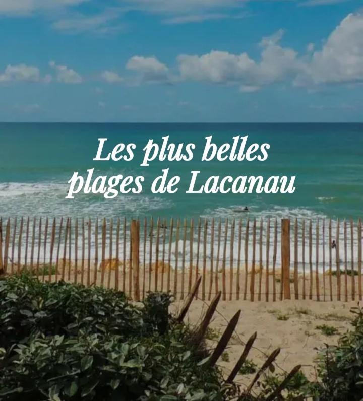 L'Ocean&Dunes Vue A 180° En Bord De Plage Lacanau Exterior photo